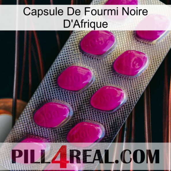 Africa Black Ant Capsule 09